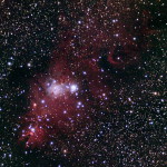 NGC2264