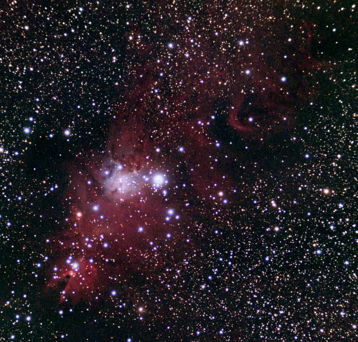 NGC2264