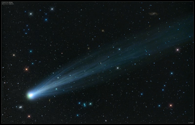 Cometa ISON 2012C ripresa dall'astrofilo inglese Damian Peach