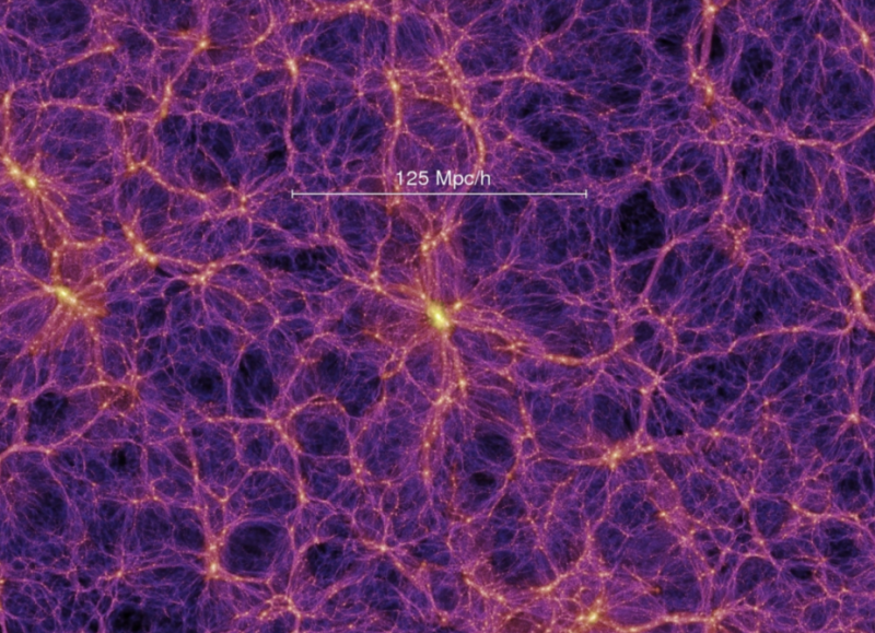 Particolare di una regione della simulazione “Millennium” (credits: Springel et al.2005). Nell'immagine, la 125Mpc=408 milioni di anni luce. I colori mostrano la distribuzione della materia oscura che forma le galassie, gli ammassi di galassie ed i filamenti.